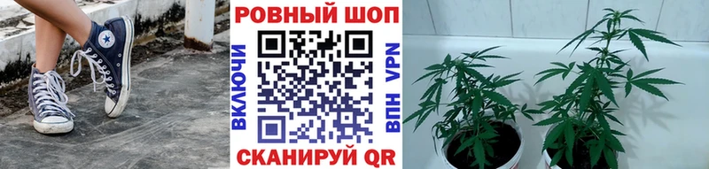 Купить закладку Гашиш  Конопля  АМФЕТАМИН  Alpha-PVP  Мефедрон  Cocaine  Клинцы