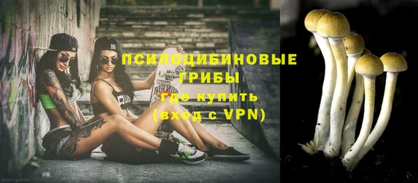 круглые Заводоуковск